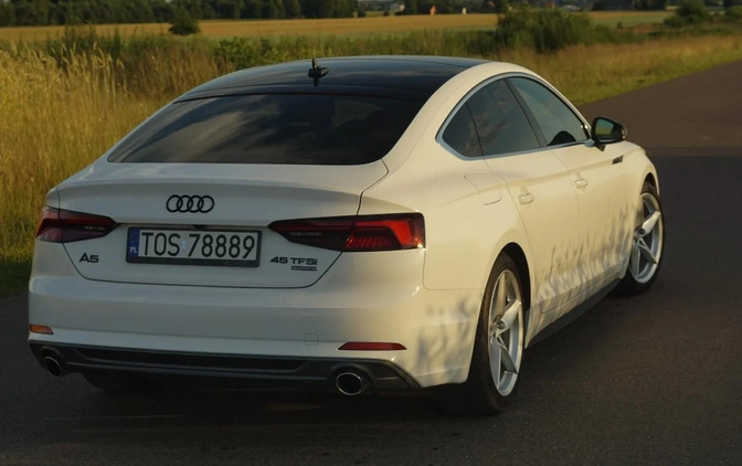 Audi A5 cena 130900 przebieg: 48000, rok produkcji 2019 z Małomice małe 254